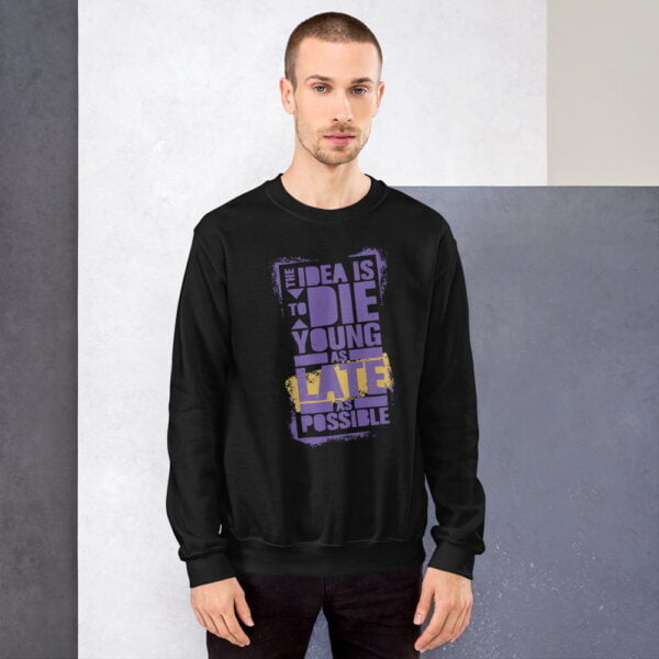 Field Purple Jordan 12 Sweatshirt Motivational Graphic Sweater For Men