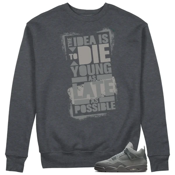 Die Young Sweatshirt to Match Jordan 4 SE Wet Cement