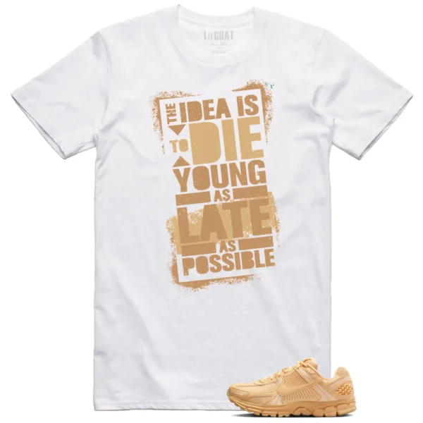 Nike Air Zoom Vomero 5 Celestial Gold Matching T-shirt Die Young