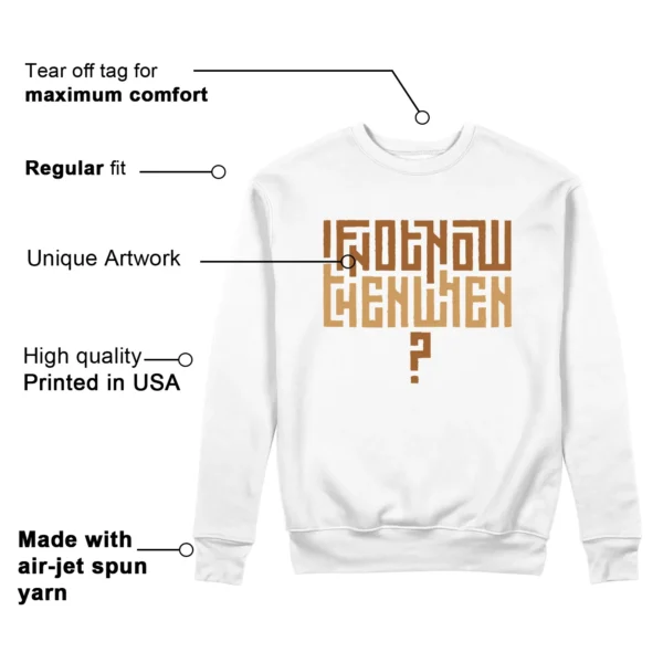 Motivational Sweatshirt For Air Jordan 4 Retro Ginger Wheat Features