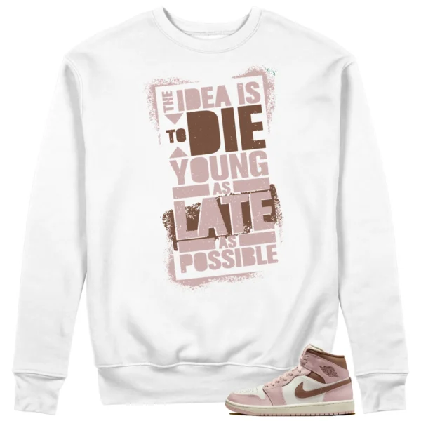 Die Young Sweatshirt to Match Air Jordan 1 Mid Neapolitan