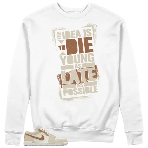 Die Young Sweatshirt to Match Jordan 1 Low SE Sail Archaeo Brown