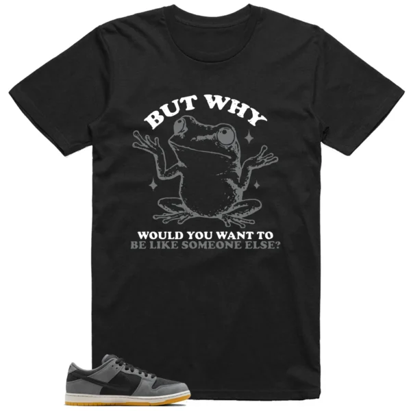 Funny But Why Shirt for Nike SB Dunk Low Dark Smoke Grey