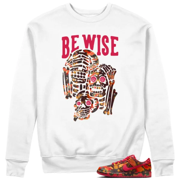 Nike SB Dunk Low The Wizard of Oz 'Be Wise' Matching Sweatshirt