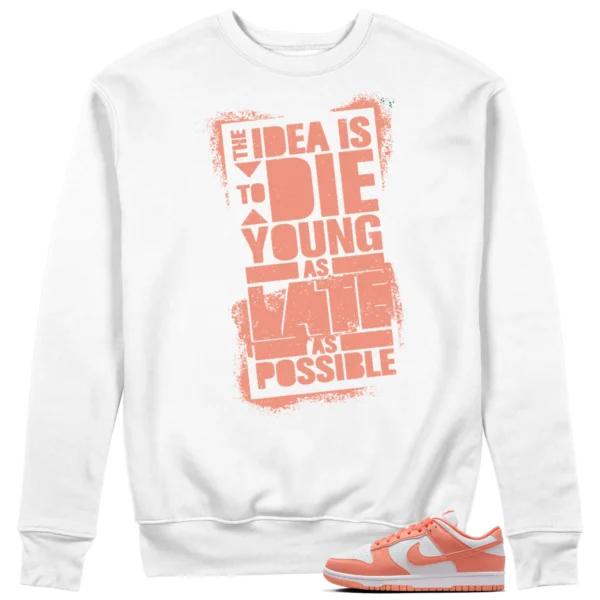 Die Young Sweatshirt to Match Nike Dunk Low Light Wild Mango