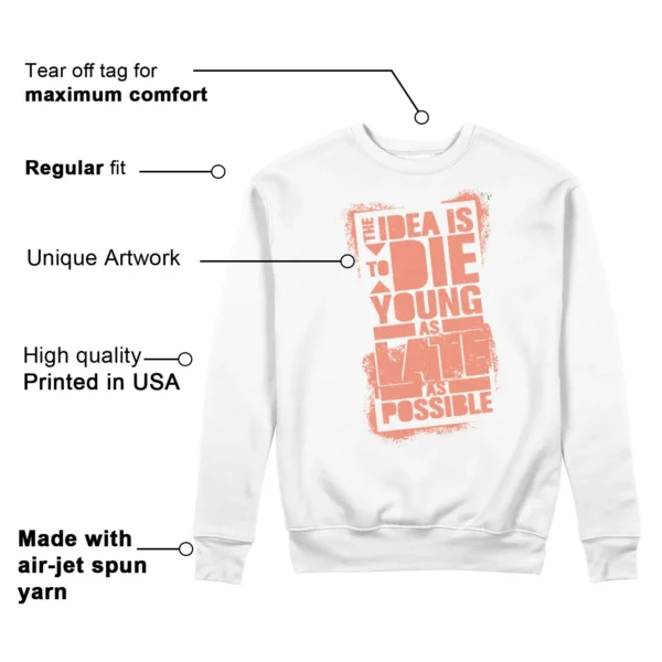 Die Young Sweatshirt to Match Nike Dunk Low Light Wild Mango Features