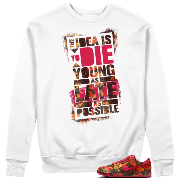 Die Young Sweatshirt to Match Nike SB Dunk Low The Wizard of Oz