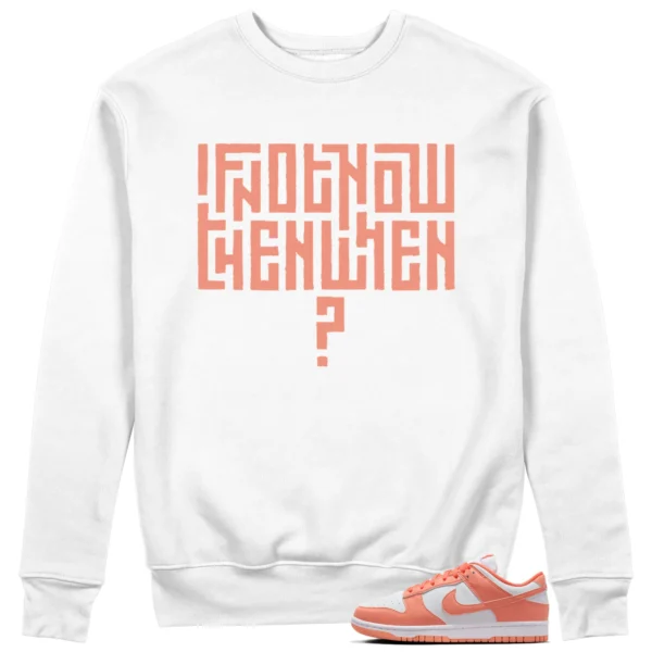 Motivational Sweatshirt For Nike Dunk Low Light Wild Mango