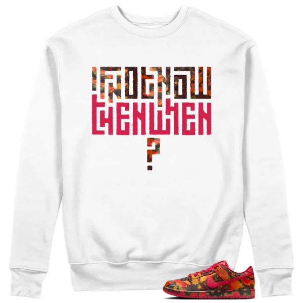 Motivational Sweatshirt For Nike SB Dunk Low The Wizard of Oz