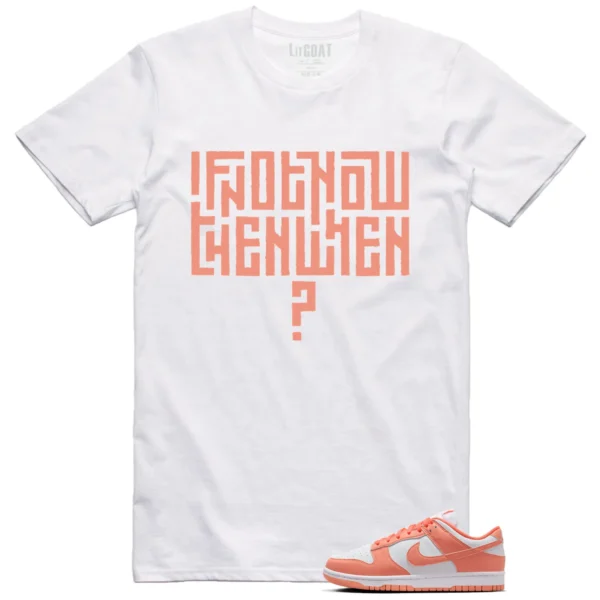 Nike Dunk Low Light Wild Mango Style T-shirt Motivational Graphic