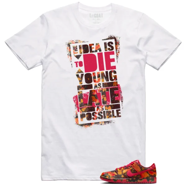 Die Young MatchShirt to Style Nike SB Dunk Low The Wizard of Oz