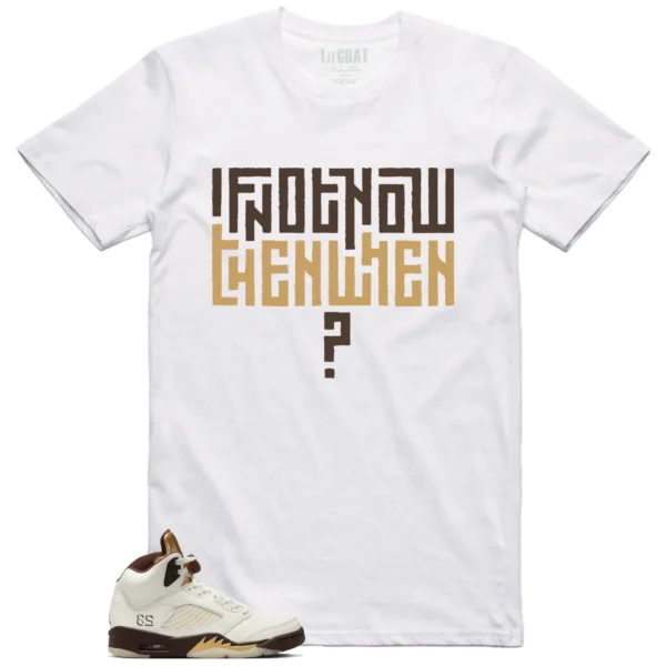 Air Jordan 5 Earth Style T-shirt Motivational Graphic