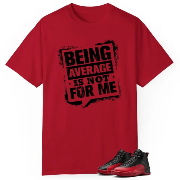 Average Not Me Tee Matches Air Jordan 12 Flu Game Sneaker