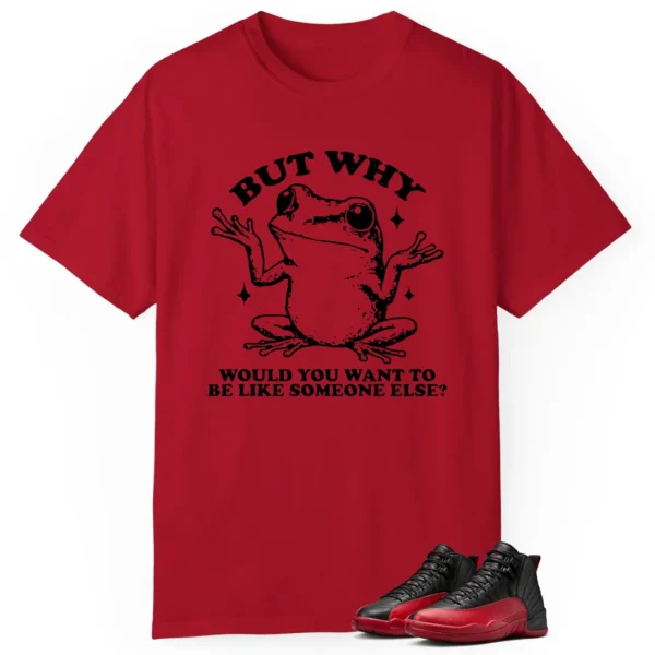 Funny But Why Shirt for Air Jordan 12 Flu Game