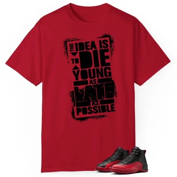 Die Young MatchShirt to Style Air Jordan 12 Flu Game