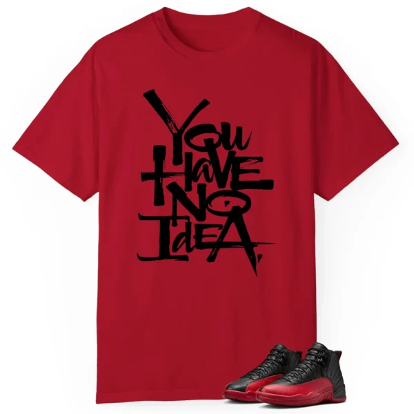 You Have No Idea Tshirt to Match Air Jordan 12 Flu Game Outfit