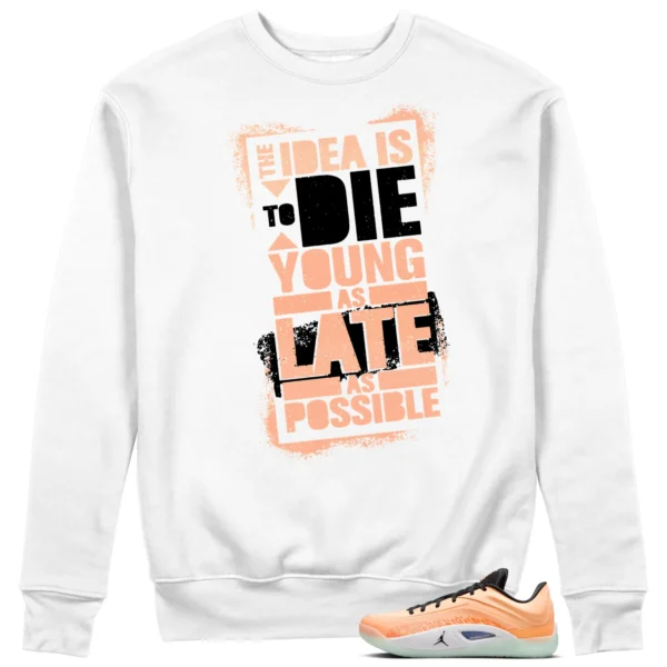 Die Young Sweatshirt to Match Jordan Zion 4 Forged in Fire