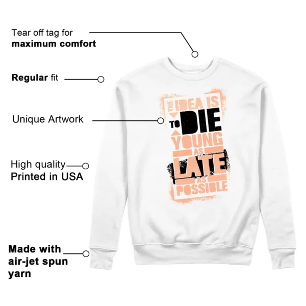 Die Young Sweatshirt to Match Jordan Zion 4 Forged in Fire Features