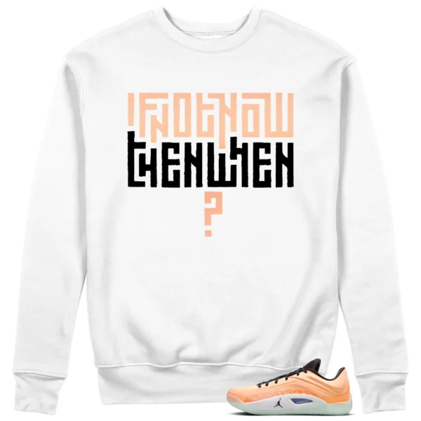 Motivational Sweatshirt For Jordan Zion 4 Forged in Fire