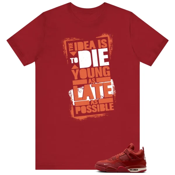 Die Young MatchShirt to Style Nigel Sylvester x Air Jordan 4 Brick by Brick