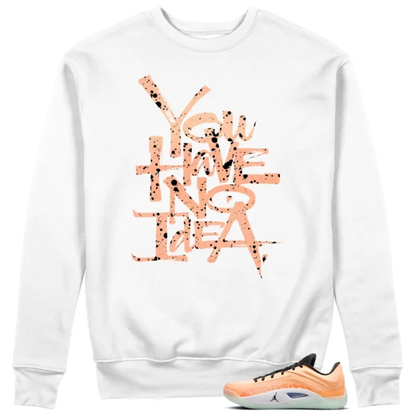 You Have No Idea Sweatshirt Match Jordan Zion 4 Forged in Fire Outfit