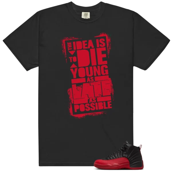 Die Young MatchShirt to Style Flu Game 12s