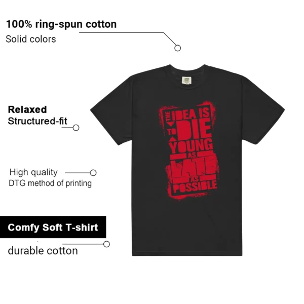 Die Young MatchShirt to Style Flu Game 12s Features