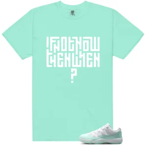 Air Jordan 11 Low Igloo Style T-shirt Motivational Graphic - Air Jordan 11 Low Igloo Matching T-Shirt