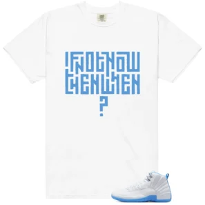 Air Jordan 12 Melo Style T-shirt Motivational Graphic
