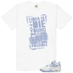 Die Young MatchShirt to Style Air Jordan 4 Forget Me Not