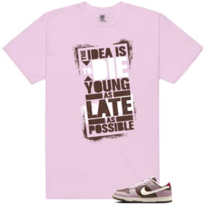 Die Young MatchShirt to Style Neapolitan Dunks - Neapolitan Dunks Matching T-Shirt