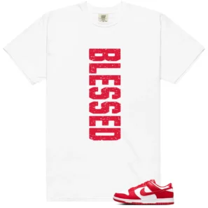 Blessed Tee | Nike Dunk Low SP St. John's Match shirt