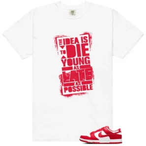 Die Young Shirt Perfect for Nike Dunk Low SP St. John's | Motivational Streetwear