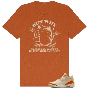 Shirt To Match 3s Retro WMNS Starfish But Why Graphic