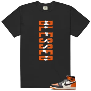 Shattered Backboard 1s 2025 Blessed Match Shirt
