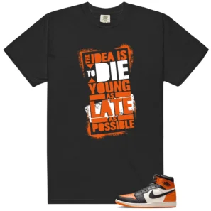 Shattered Backboard 1s 2025 Die Young Matching Tees