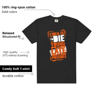 Shattered Backboard 1s 2025 Die Young Matching Tees features