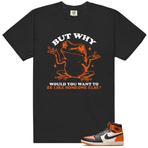 Shirt To Match Shattered Backboard 1s 2025 But Why Graphic