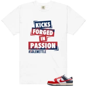Dunk Boston Red Sox Passion Kicks Graphic Shirt