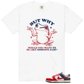 Shirt To Match Dunk Boston Red Sox But Why Graphic