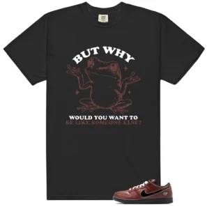 Shirt To Match Dunk Low x Limosine Skateboards But Why Graphic