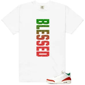 El Vuelo 3s Blessed Match Shirt
