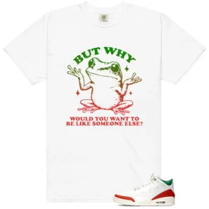 Shirt To Match El Vuelo 3s But Why Graphic