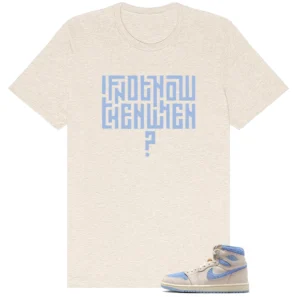 Motivational Shirt to Match Air Jordan 1 High OG WMNS Psychic Blue - Air Jordan 1 High OG WMNS Psychic Blue matching shirt
