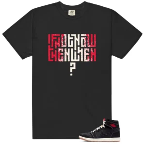 Motivational Shirt to Match Air Jordan 1 Retro High OG Flight Club - Air Jordan 1 Retro High OG Flight Club matching shirt