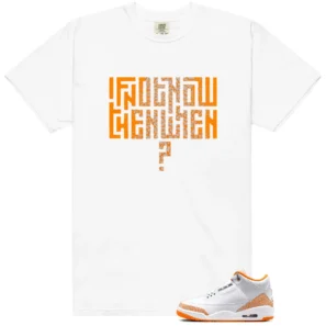 Motivational Shirt to Match Air Jordan 3 Retro Orange Citrus - Air Jordan 3 Retro Orange Citrus matching shirt