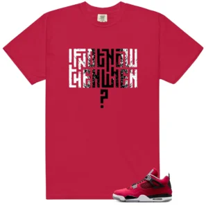 Motivational Shirt to Match Air Jordan 4 Retro Toro Bravo - 2026 - LitGoat